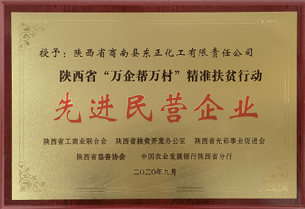 先进民营企业.png